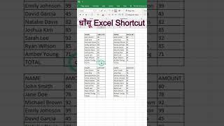 Excel Shortcuts in Hindi | Boost your MS Excel SPEED  #excelshorts #excelshortcuts