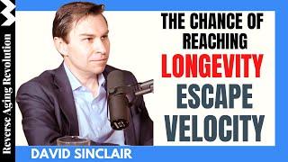 The Chance Of Reaching Longevity Escape Velocity” | Dr David Sinclair Interview Clips