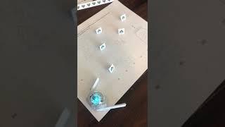  Catch fireflies with Ozobot!