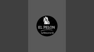 EL PELON  está en vivo