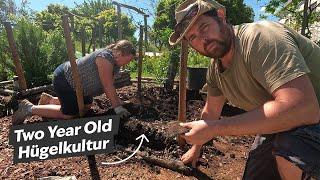 Unexpected Results Revealed: Pulling Apart Hügelkultur Raised Beds