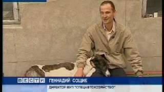 ОРОО "Друг" - приют для бездомных животных Омск.