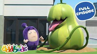 Little Shop of Marrows | Oddbods Full Episode | Funny Cartoons for Kids