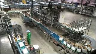 Bottle automatic packaging line