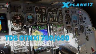 TDS GTNXi 750/650 for X-Plane 12 | Pre-Release | CitationJet