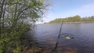 First Fish on Castle Rock Lake, WI