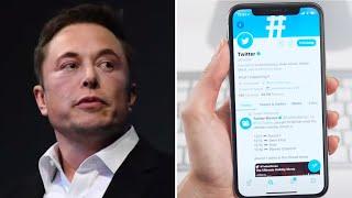 Elon Musk's New Ideas Are Destroying Twitter in Record Time, Bankruptcy Imminent?