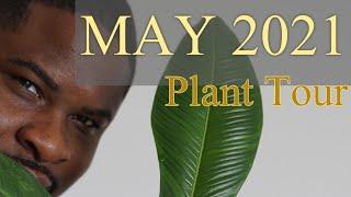 May 2021 Plant Tour (PLANT TLC)