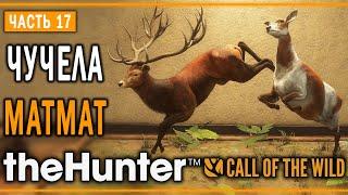 theHunter Call of the Wild #17  - Бегство - Кoмпозиции из Чучeл