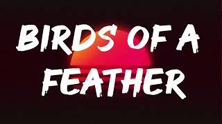 Billie Eilish - BIRDS OF A FEATHER (Lyrics)