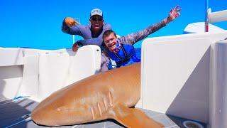 Fishing for Sharks in Florida for the First Time!