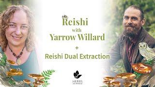 Reishi with Yarrow Willard + Reishi Dual Extract