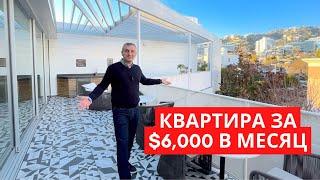 Обзор Квартиры на Аренду в Лос Анджелесе за $6,000 в месяц.