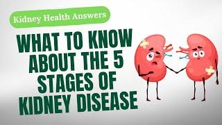 Everything To Know About The Stages Of Kidney Disease