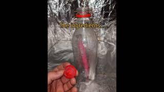 Anti Gravity Pepto Bismol [Schitzomas Hour 1]