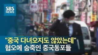 "중국 다녀오지도 않았는데" 혐오에 숨죽인 중국동포들 / SBS