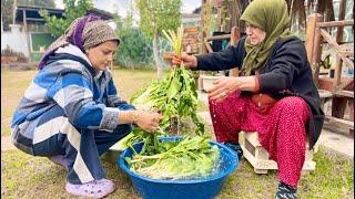 HEM ZEHİRLİ HEM ŞİFALI KÖY ÇORBASI / HER YIL YAPILAN İNANILMAZ KÖY YEMEĞİ