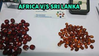 Different Between Africa Gomad And Sri lanka Gomad Benifits And Qualities 