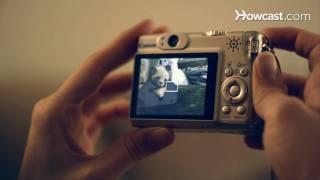 How to Use a Digital Camera