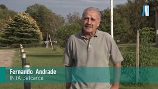 Los desafíos de la agricultura argentina -  Fernando Andrade