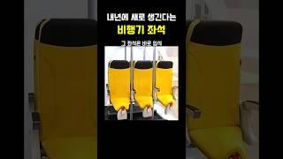 내년에 새로 생긴다는 '비행기 좌석'