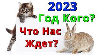 2023 ГОД какого ЖИВОТНОГО по восточному гороскопу на самом деле, каким он будет