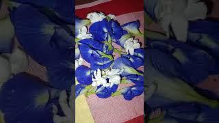 #flowers #minar #bangali_song_status
