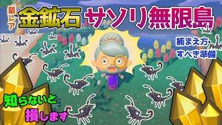 【あつ森】サソリ島へ行く方法や捕まえ方を紹介！金鉱石もとれるレア島の出現条件や確率・集め方など徹底攻略！無限サソリの捕まえ方や罠の作り方についても解説【あつまれどうぶつの森　サソリ島　捕まえ方】