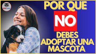 NO ADOPTES UNA MASCOTA !!