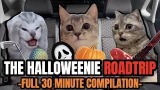 Cat MEMES: -THE HALLOWEENIE ROADTRIP FULL HALF HOUR COMPILATION