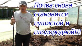 ТРИ отличных способа сделать почву пушистой и плодородной!