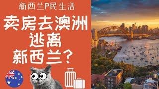 直通澳洲公民 一大波人正在赶来？澳洲新西兰如何选择？新西兰华人想去澳大利亚吗？澳洲房价还得涨？ 新西兰和澳洲 哪个环境更好 更适合生活？新西兰身份重大利好 澳新收入差距大吗？澳新双重国籍不是梦