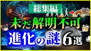 【ゆっくり解説】【総集編】ガチで眠れなくなる「生物進化」の謎６選を解説/ミッシングリンク、収斂進化、系統樹、生命起源【作業用】【睡眠用】