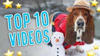 Dean's TOP 10 videos! ⭐️