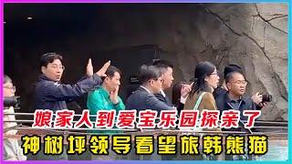 四川的娘家人远赴爱宝乐园探望宝家族熊宝了。基地领导和爱宝乐园人员走近乐宝的院子，乐宝正懒洋洋地躺在猫爬架上，享受着秋日的温暖阳光，而两小只则欢快地跟随爱宝妈妈在外场玩耍，一切仿佛都洋溢着岁月静好的味道