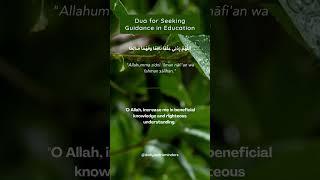 Dua for Seeking Guidance in Education - Illuminating the Path to Knowledge