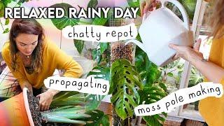 Cosy Rainy Day Plant Chores, HUGE Repot + Moss Pole Extensions  Realistic, Relaxed Plant To-Dos