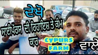 cypurs de rehaish, cyprus de farm,Cyprus video, Kris mall vlogs