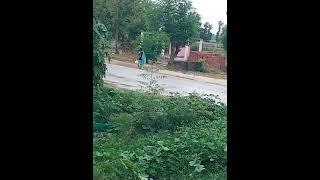 chopori  videob