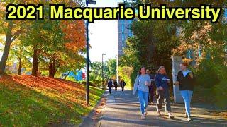 【4K】  Macquarie University Tour | Central Courtyard | Macquarie Library | Sydney Walking Tour