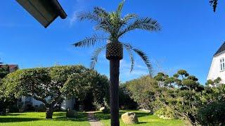 How to make a palm tree