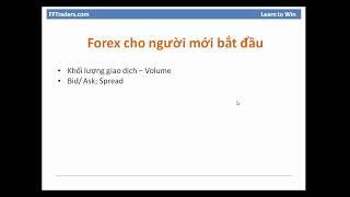 Học Forex online | Kiến thức Forex cơ bản cho người mới bắt đầu