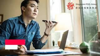 注册新加坡公司，首选服务商新加坡福智霖集团（FOZLSG)