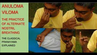 Anuloma Viloma Pranayama - Alternate Nostril Breathing - Steps & Benefits explained