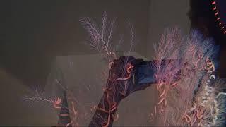 The Immersion Project: AWE XR Climate Change Grant Finalist Video