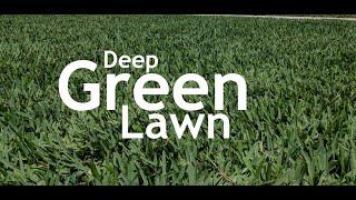 Secret to a Dark Green Lawn: Iron Treatment | Liquid Iron and MicroNutrients in Summer