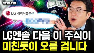 대전환 시작한 2차전지, 새로운 대장주는 이 주식｜김대준 대표 2부