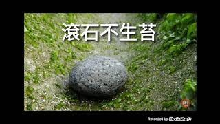 滾石不生苔｜the why world special edition妄想世界 異