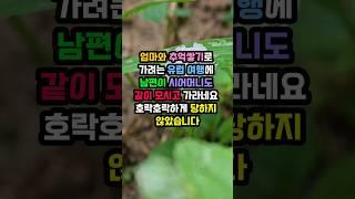 엄마와 추억쌓기로 가려는 유럽 여행에 남편이 시어머니도 같이 모시고 가라네요 호락호락하게 당하지 않았습니다