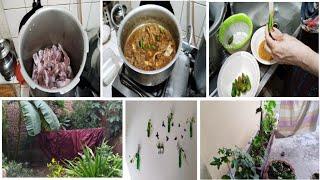 full day busy routine in Pakistan | achar gosht recipe | daily routine